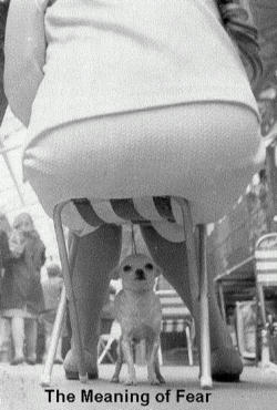 Your experience of collapse may depend on your position